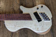 Basse 5 cordes multi-disapasons - Photo #5
