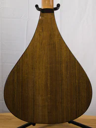 Guitare folk 7 cordes en forme de cistre - Photo #2