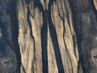 Classical guitar 51 : ebony and spruce - Photo #12